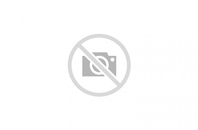 Various Cushions and Pillows