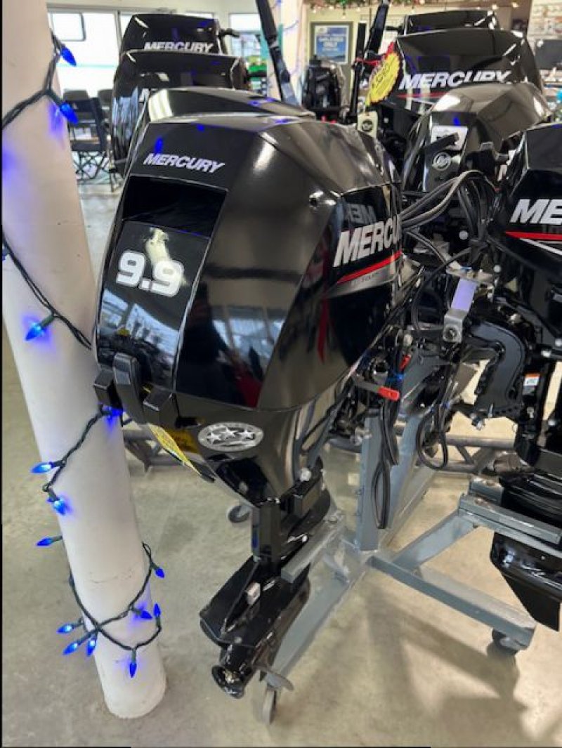 2021 ME 9.9E 4S EFI 1A10302LK