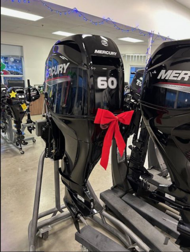 2026 MERCURY 60HP TILLER 20