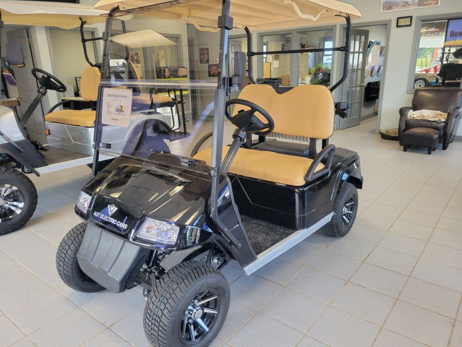 Golf Cart Inventory Pierson Motors