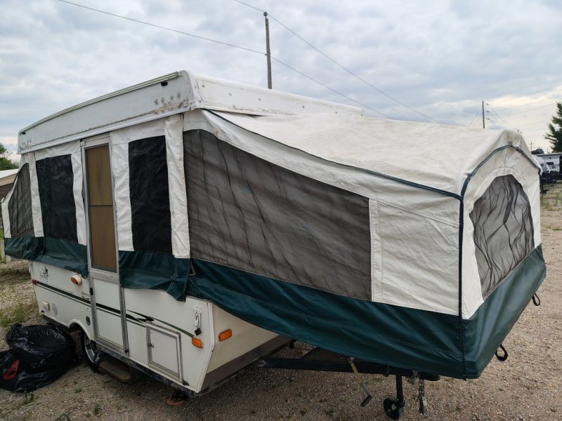 2005 PALOMINO YEARLING 4100