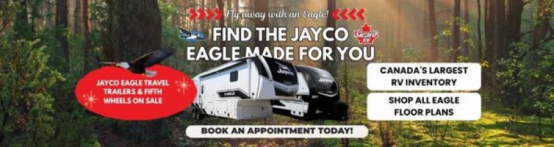 Slide Image - Fly away with an Eagle!