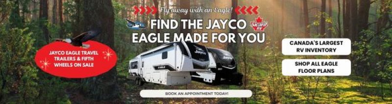 Slide Image - Fly away with an Eagle!
