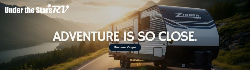 ZINGER Slide Image - ZINGER